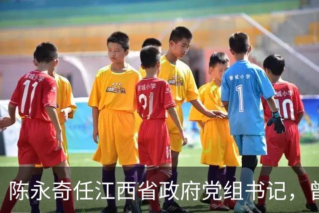 陈永奇任江西省政府党组书记，曾抓煤城转型，推动两省新能源建设